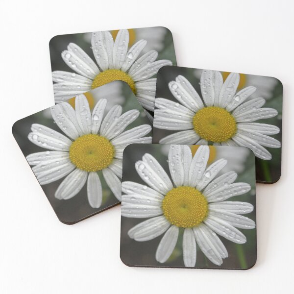 Item preview, Margarita, Magarita! designed and sold by Benja & Co..