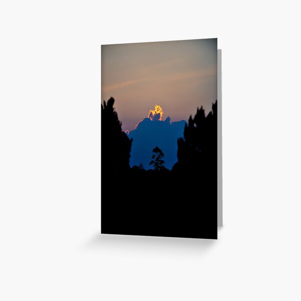 Tall tree silhouetted against huge cloud aflame with light from the setting sun. Greeting Card
