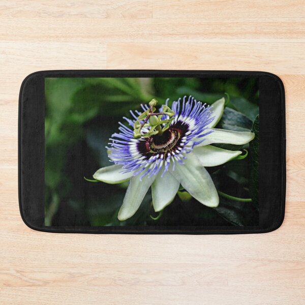 Item preview, Blue Crown Passion Flower designed and sold by Debbie Oppermann.