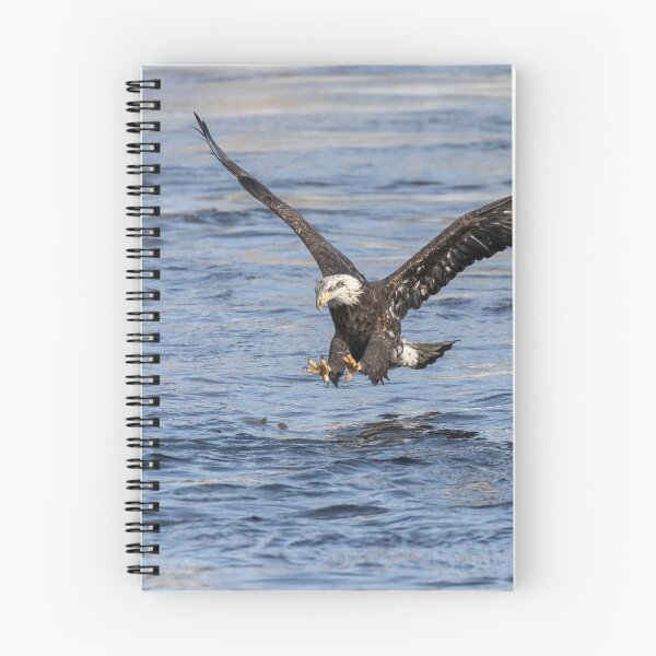 Item preview, Bald Eagle 2019-15 designed and sold by Thomasyoung.