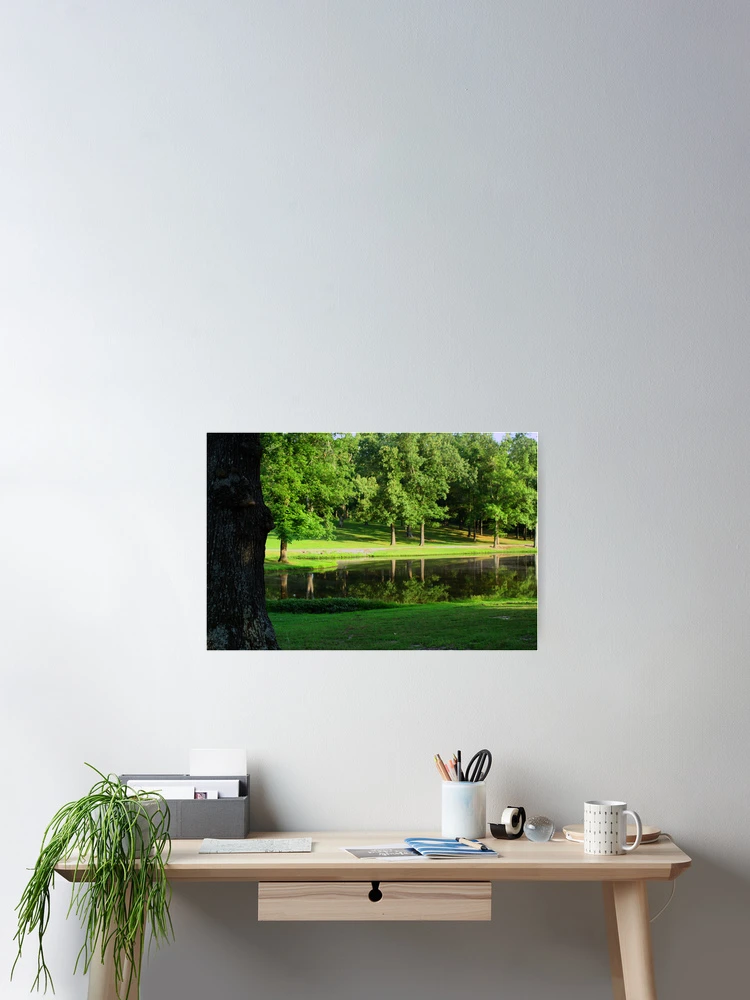 Thumbnail 2 of 3, Poster, Spring Reflections designed and sold by Susan Blevins.