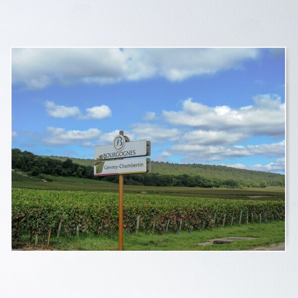 Item preview, Gevrey Chambertin designed and sold by Elizabeth Dale.