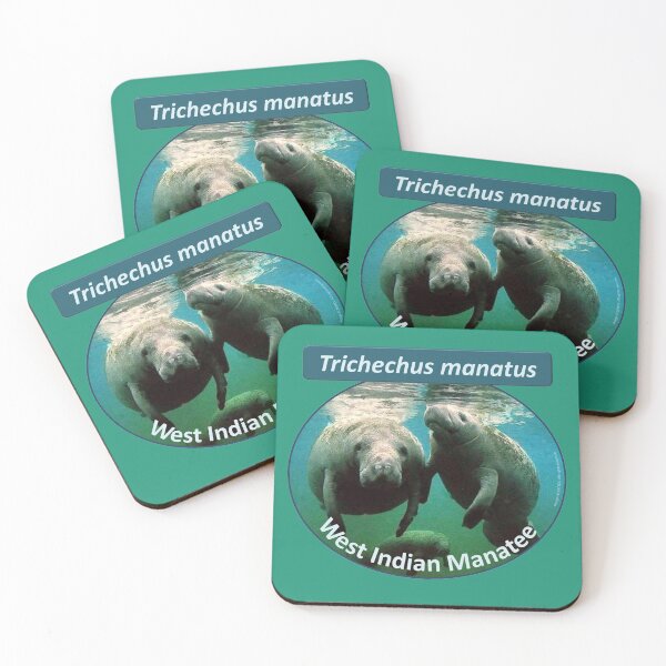 Item preview, West Indian Manatee - Trichechus manatus Marine Biology designed and sold by 28TEES.