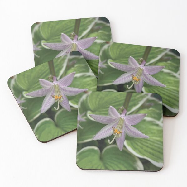 Item preview, Hosta  designed and sold by Glenn-Patrick.