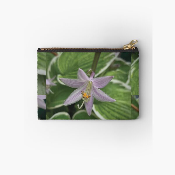 Item preview, Hosta  designed and sold by Glenn-Patrick.