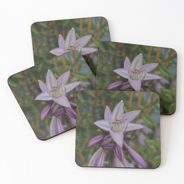Item preview, Hosta, with Bamboo designed and sold by Glenn-Patrick.