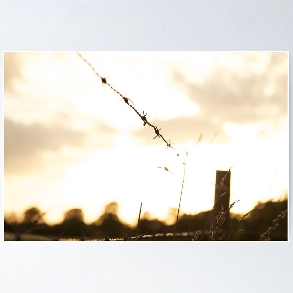 Item preview, Barbed Wire designed and sold by Tim Foster.