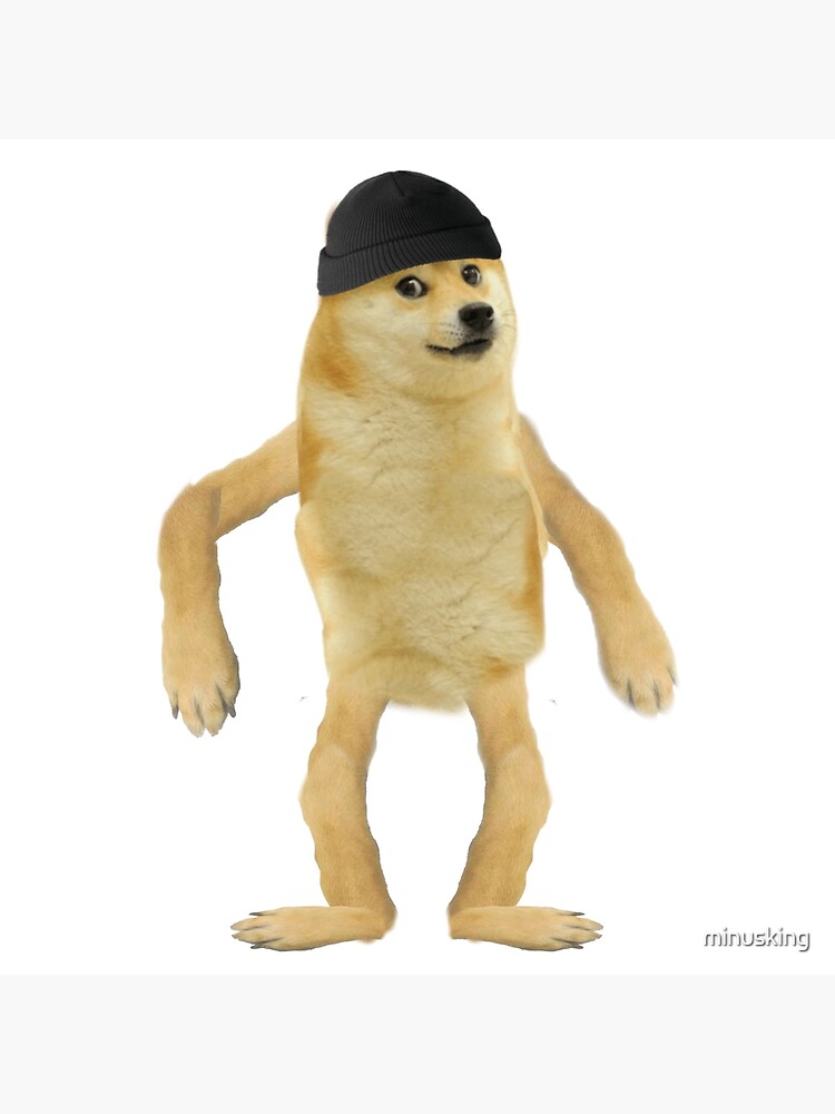 Roblox Hat Doge