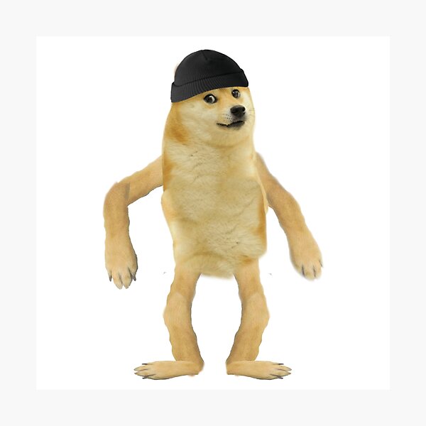 Doge Photographic Print By Minusking Redbubble - doge roblox hat