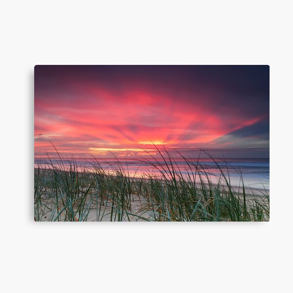 Pink Sunrise - Yaroomba Beach, Qld Canvas Print