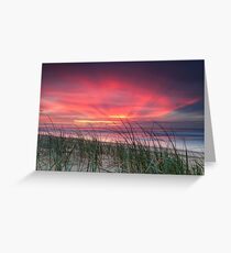 Pink Sunrise - Yaroomba Beach, Qld Greeting Card