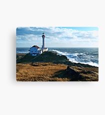 A Gusty Day at the Cape Canvas Print