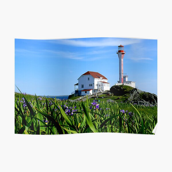 "Cape Forchu in Irises" Poster for Sale by Onlydebster Redbubble