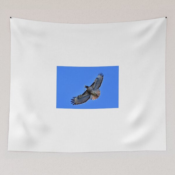 Item preview, Red-tailed hawk carrying a twig designed and sold by Eleu Tabares.