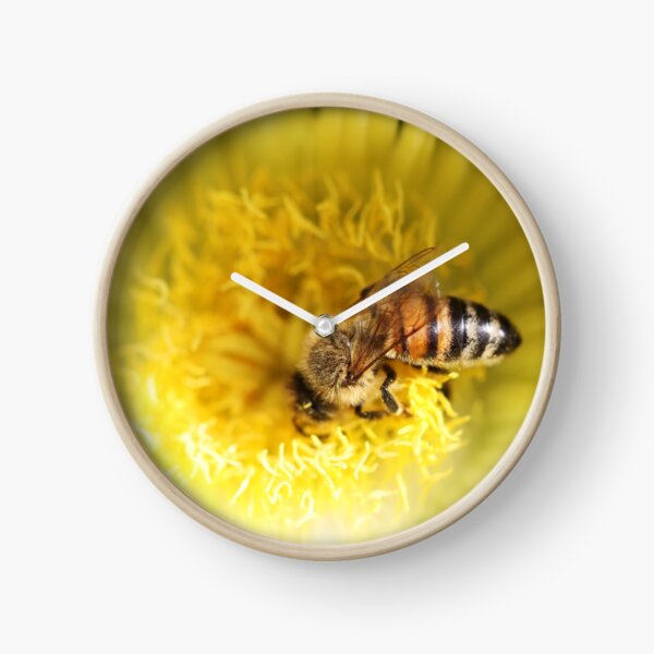 Nose Dive into Pollen Clock