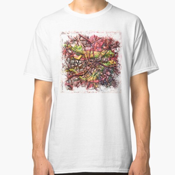 The Atlas Of Dreams - Color Plate 165 Classic T-Shirt