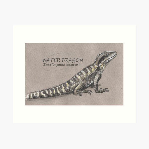 Item preview, Australian Water Dragon designed and sold by SnakeArtist.