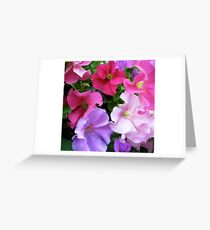 Colorful Flowers Greeting Card