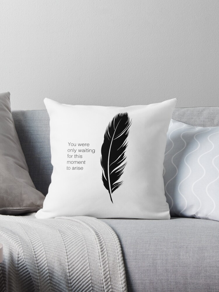 https://ih1.redbubble.net/image.1012651660.7597/throwpillow,small,750x1000-bg,f8f8f8.u1.jpg