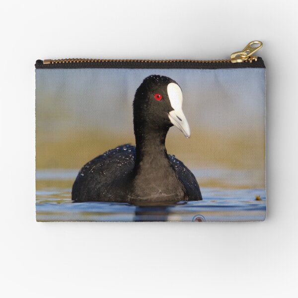 Eurasian Coot Zipper Pouch