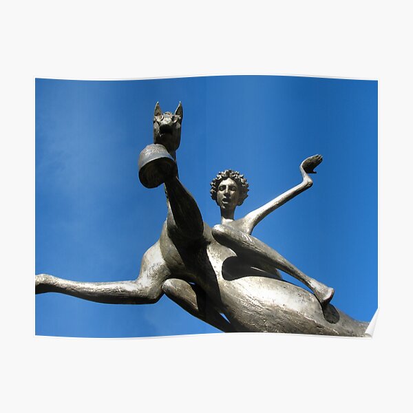 Leaping Into The Sky Poster