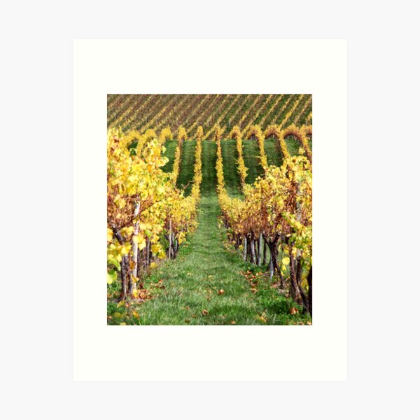 Item preview, ~ Hills and Vines ~  designed and sold by LeeoPhotography.