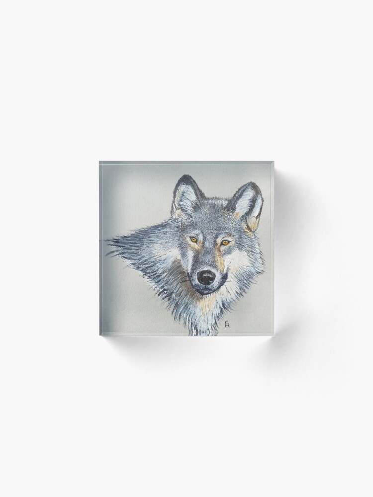 Alternate view of Wolf portrait Acrylic Block