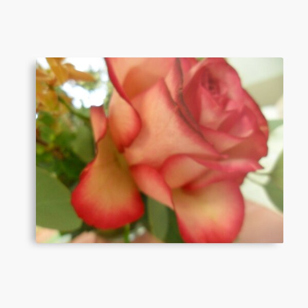 Soft Metal Print