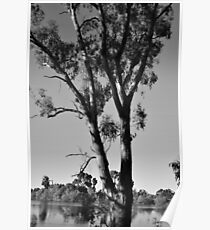 A Billabong Moment Poster