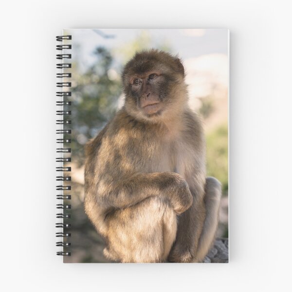 Item preview, Barbary Macaque designed and sold by hawkie.