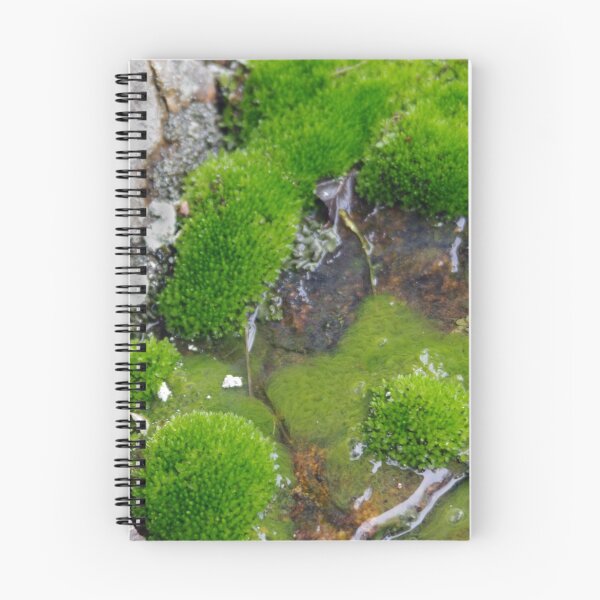 Item preview, Mossy designed and sold by WisePhoto.
