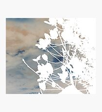 Old Souls Photographic Print