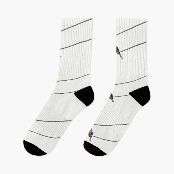 Item preview, Pigeon On The Lines designed and sold by Jason Gilbert.