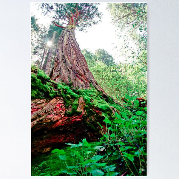 Towering Over You Poster