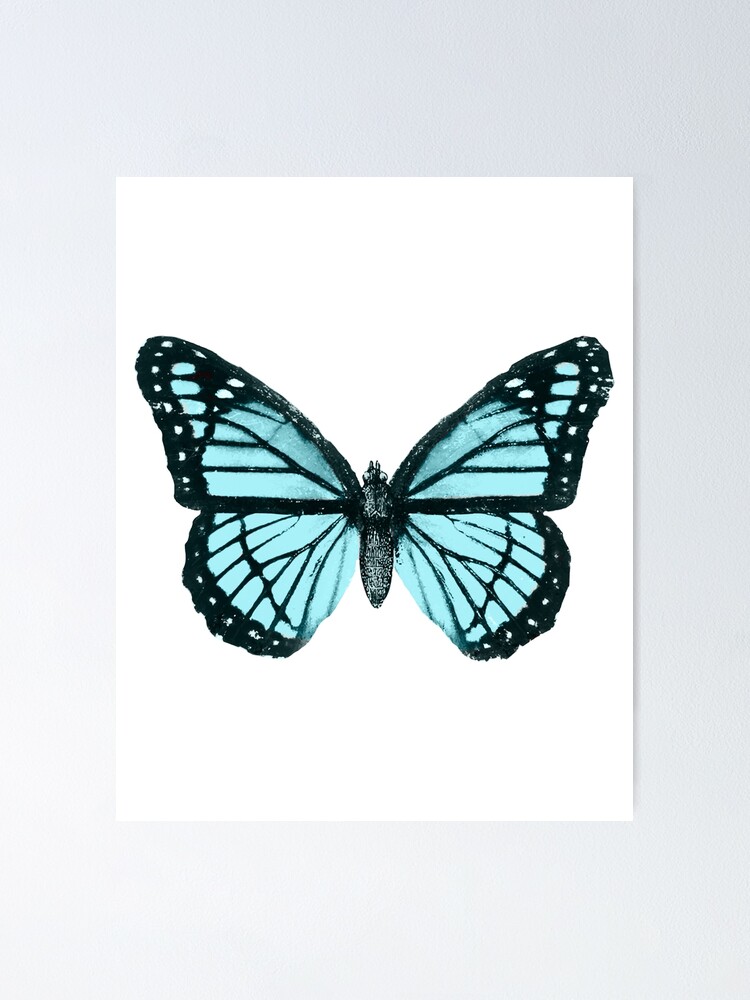 Monarch Butterfly Baby Blue Dream Poster By Trajeado14 Redbubble