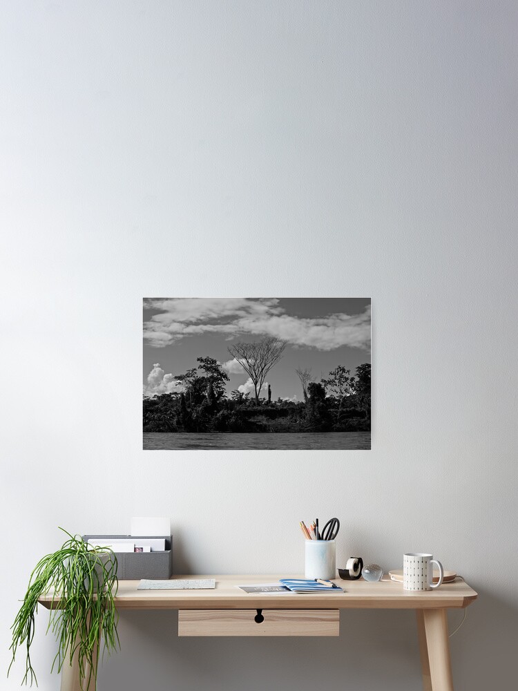 Thumbnail 2 of 3, Poster, Tree designed and sold by olijohnson.