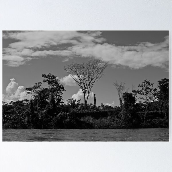 Item preview, Tree designed and sold by Oli Johnson.