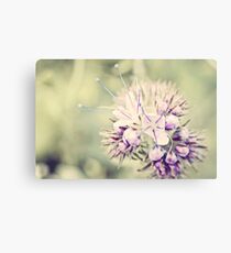 Wildflower in pastell Tones Canvas Print