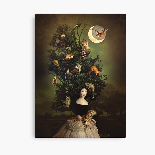 The Noah's Tree Canvas Print