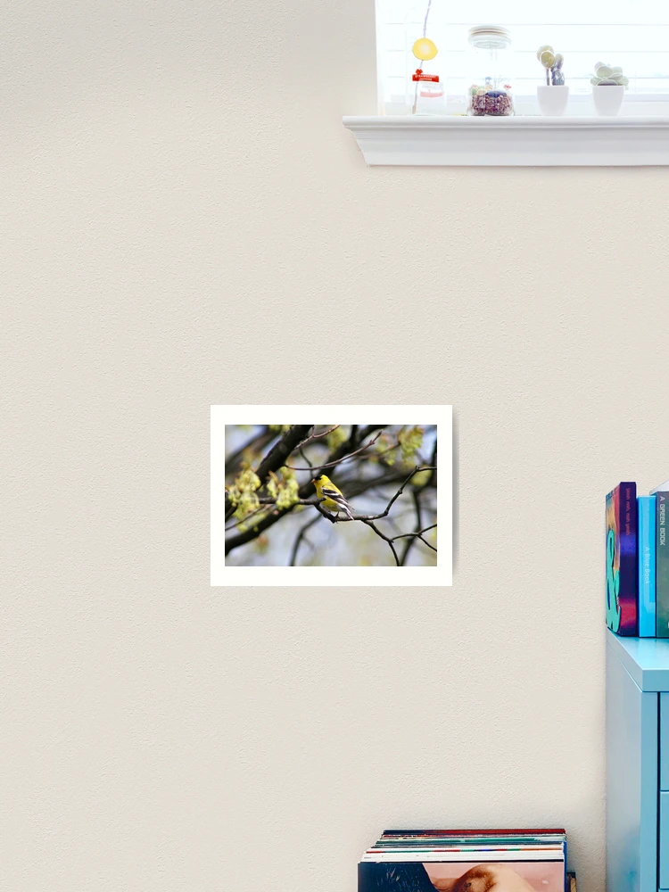 Thumbnail 2 von 3, Kunstdruck, Hello, Yellow ! designt und verkauft von RHMack.