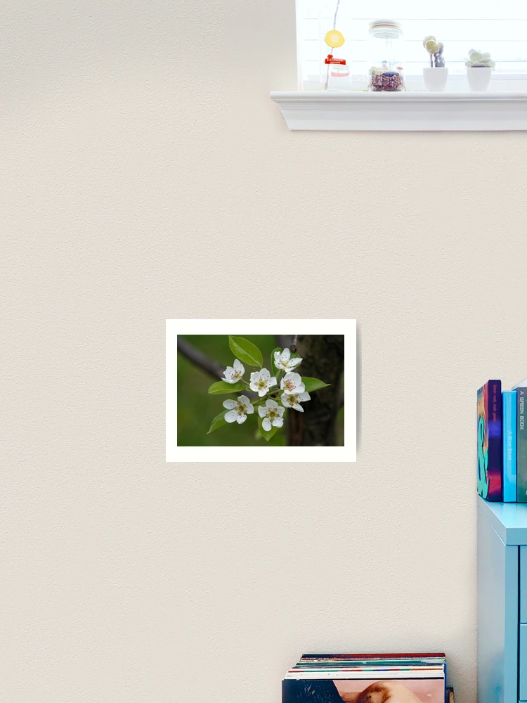 Thumbnail 2 of 3, Art Print, Delicates designed and sold by RHMack.