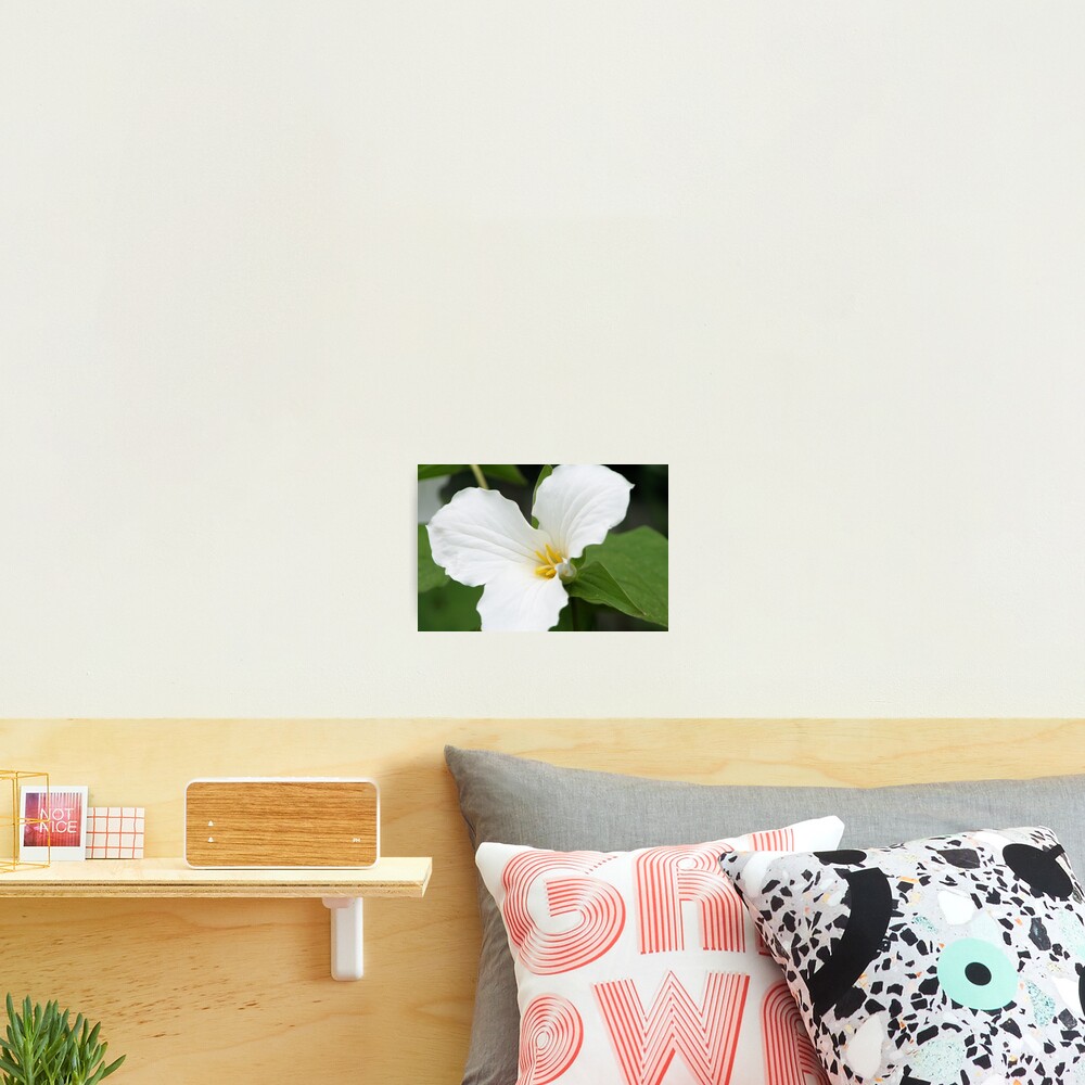 Item preview, Photographic Print designed and sold by RHMack.