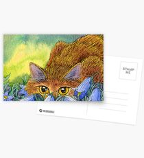 Cat stalking through the harebells Postcards