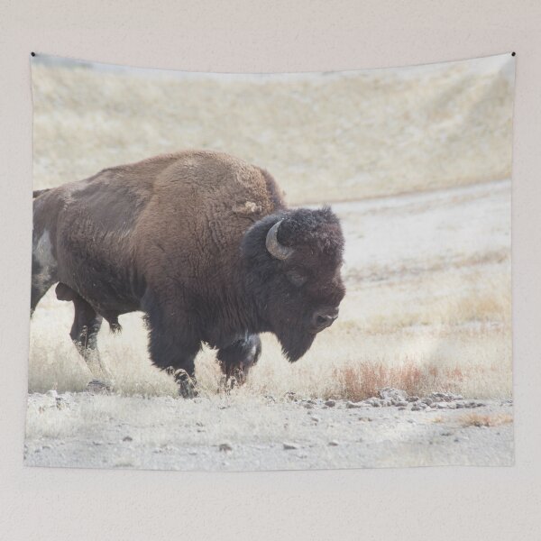 Item preview, Old Buffalo Bull designed and sold by Allen Penton.