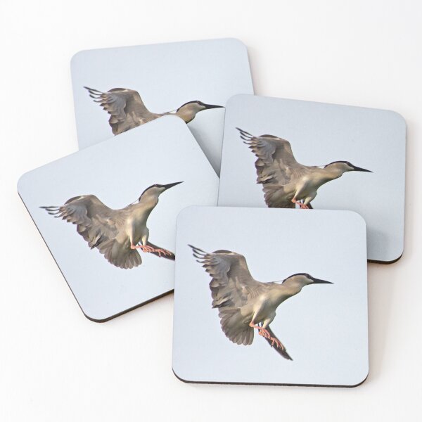 Item preview, Black Crowned Night Heron in Descent designed and sold by DonMc.