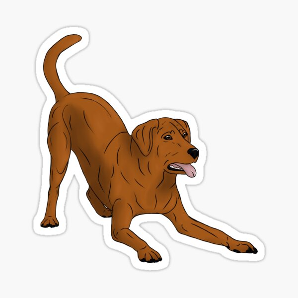 Labrador Retriever Fox Red - Play Bow Sticker