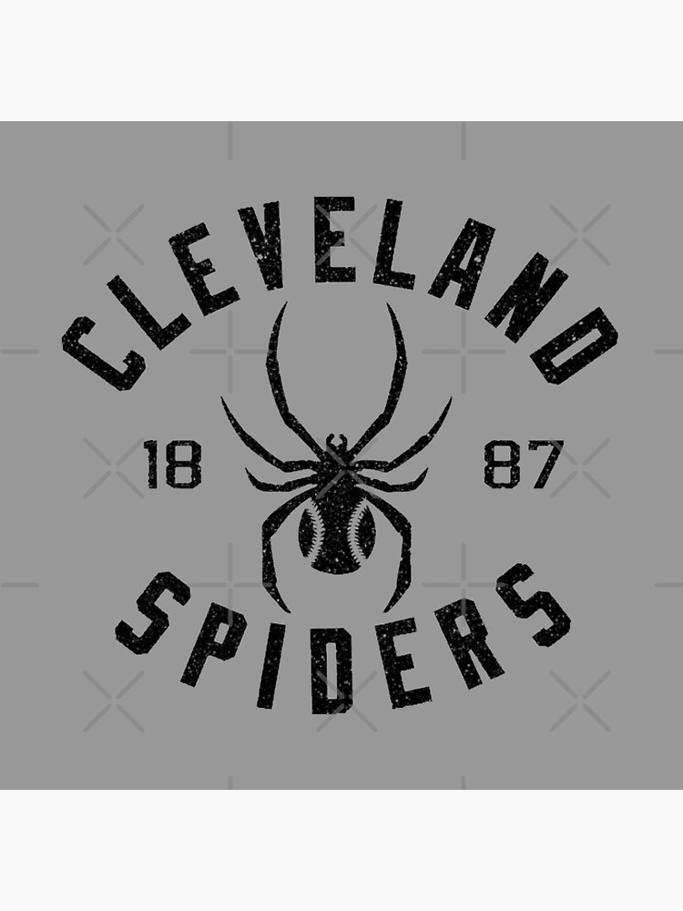 Retro Baseball - Cleveland Spiders 1887 Poster for Sale by TheSportsPage