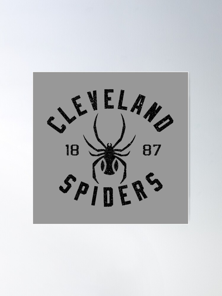 Cleveland Spiders (Defunct Team) | Poster