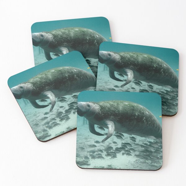Item preview, Manatee designed and sold by jonawillian.