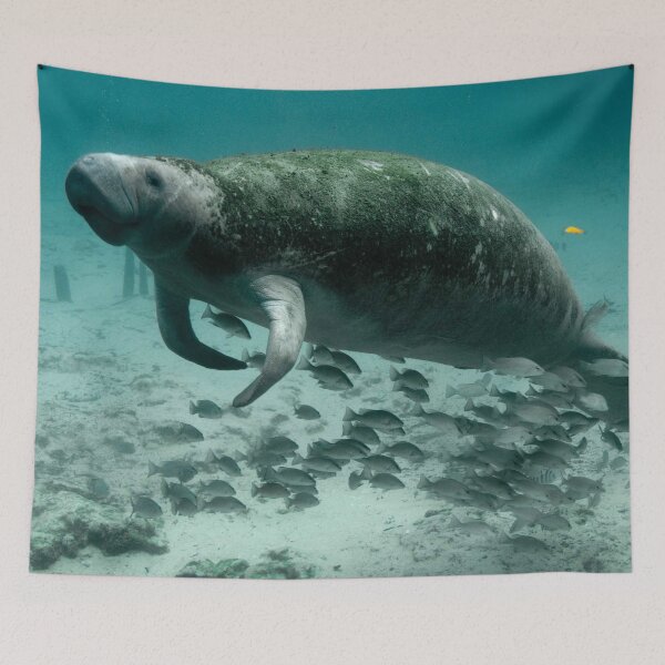 Item preview, Manatee designed and sold by jonawillian.